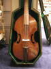 viola da gamba