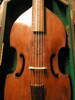 viola da gamba