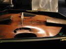 viola da gamba