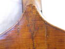 viola da gamba