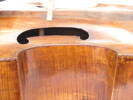 viola da gamba