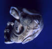 netsuke