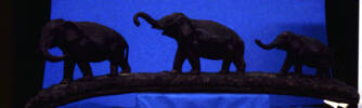 figure group, elephants
