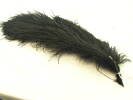 feathers, black ostrich
