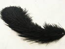 feathers, black ostrich