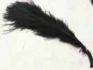 feathers, black ostrich