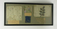 textile pieces, framed