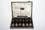 presentation silver spoons and case