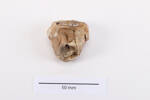 head, figurine 2012.19.138