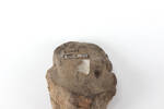 head, figurine 2012.19.74