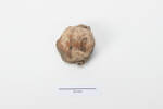 head, figurine 2012.19.76