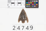 arrowhead, 1930.107, 24749, Photographed by Andrew Hales, digital, 03 Aug 2017, © Auckland Museum CC BY