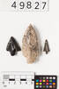 projectile points, 1981.258, 49827, © Auckland Museum CC BY