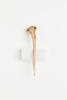 awl, bone, 48793.5, Photographed by Andrew Hales, digital, 10 Sep 2018, Cultural Permissions Apply