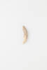 fish hook, two-piece dog tooth point, 1932.604, 19585.20, Photographed by Andrew Hales, digital, 13 Jan 2017, Cultural Permissions Apply