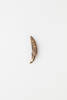 fish hook, two-piece dog tooth point, 1932.604, 19585.25, Photographed by Andrew Hales, digital, 13 Jan 2017, Cultural Permissions Apply