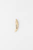 fish hook, two-piece dog tooth point, 1945.56, 27787.1, 223, Photographed by Andrew Hales, digital, 16 Jan 2017, Cultural Permissions Apply