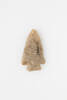 projectile point, 1932.233, 18054.2, 724, Photographed by Andrew Hales, digital, 21 Feb 2018, © Auckland Museum CC BY