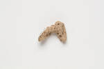 fish hook, pumice, AR7291, 274, Photographed by Awhina Kerr, digital, 30 Oct 2017, Cultural Permissions Apply