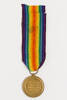 medal, campaign, 1980.19, N1639, S146, Photographed by Ben Abdale-Weir, digital, 02 Feb 2017, © Auckland Museum CC BY