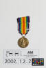 medal, campaign, 2002.12.2, S:146, Photographed by Ben Abdale-Weir, digital, 03 Mar 2017, © Auckland Museum CC BY