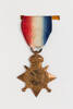 medal, campaign, 2002.48.2.2, Photographed by Ben Abdale-Weir, digital, 17 Mar 2017, © Auckland Museum CC BY