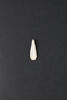 pendant, tooth imitation, 1935.194, 21865, Photographed by Daan Hoffmann, digital, 05 Sep 2018, Cultural Permissions Apply