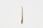 Fish bone needle, 1939.104, 24504, Photographed by Daan Hoffmann, digital, 09 Nov 2018, Cultural Permissions Apply