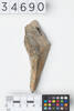 stone tool, 1956.115.9, 34690, Photographed by Daan Hoffmann, digital, 14 Mar 2019, Cultural Permissions Apply