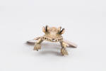 frog, gold, 24636, 478, Photographed by Denise Baynham, digital, 01 Aug 2017, © Auckland Museum CC BY