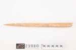 Wooden implement; 1936.295; 23980; Cultural Permissions Apply