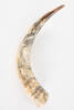horn, scrimshaw, 1947.136, col.1313.2, 29703.2, Photographed by Denise Baynham, digital, 06 Dec 2018, © Auckland Museum CC BY