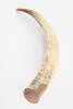 horn, scrimshaw, 1947.136, col.1313.2, 29703.2, Photographed by Denise Baynham, digital, 06 Dec 2018, © Auckland Museum CC BY