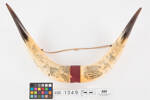 horn, scrimshaw, 1949.169, col.1349, 31027.2, Photographed by Denise Baynham, digital, 07 Dec 2018, © Auckland Museum CC BY