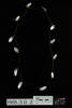necklace, 1995.30.2, All Rights Reserved