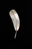 brooch, feather, 1991.179, JY12, © Auckland Museum CC BY NC