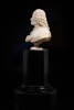 bust of Voltaire, 1932.233, 587, 18010, M233, Photographed by Jennifer Carol, digital, 16 Mar 2020, © Auckland Museum CC BY