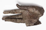 hand, 1932.233, 17564, 373, M373, Photographed 25 Aug 2020, © Auckland Museum CC BY