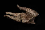hand, 1932.233, 17564, 373, M373, Photographed 25 Aug 2020, © Auckland Museum CC BY
