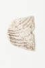 shell [ornament], 1929.413, 4549.3, © Auckland Museum CC BY