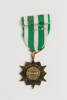 medal, campaign, 1996.166.2.1, Photographed by Julia Scott, digital, 01 Mar 2017, © Auckland Museum CC BY