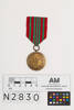 medal, campaign, N2830, Photographed by: Julia Scott, photographer, digital, 14 Feb 2017, © Auckland Museum CC BY