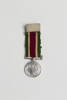 medal, campaign (miniature), N2834, Photographed by: Julia Scott, photographer, digital, 15 Mar 2017, © Auckland Museum CC BY
