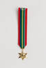 medal, campaign (miniature), 2014.7.3.6, il2011.13.87, il2011.13, 4, il2002.7.63, 16790, Photographed by Julia Scott, 16 Mar 2017, © Auckland Museum CC BY
