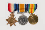 medal, campaign, 1989.79, N2849, Photographed by: Julia Scott, photographer, digital, 20 Mar 2017, © Auckland Museum CC BY