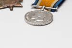 medal, campaign, 1992.328, N2951.2, Photographed by: Julia Scott, photographer, digital, 21 Mar 2017, © Auckland Museum CC BY