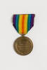 medal, campaign, 1994.92, N2946.2, Photographed by: Julia Scott, photographer, digital, 21 Mar 2017, © Auckland Museum CC BY
