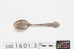 teaspoon, souvenir, col.1601.3, Photographed by Richard Ng, digital, 02 Aug 2018, © Auckland Museum CC BY