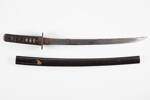 wakizashi, short sword, 1934.316, W1847, D279, Photographed by Richard Ng, digital, 07 Feb 2019, © Auckland Museum CC BY
