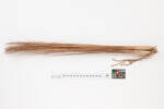 broom, 1935.117, 21710, Photographed by Richard Ng, digital, 16 Jan 2019, Cultural Permissions Apply